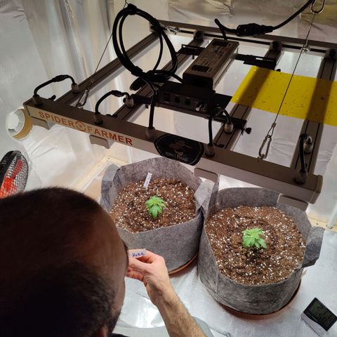 Arjan's Haze #3 growlog photo: Vegative day 1, week 4
Big POT! 👊😜 30L of Canna Bioterra! 