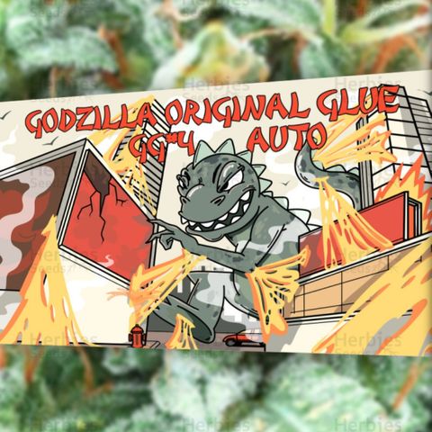 Godzilla Glue auto GG#4 growlog photo