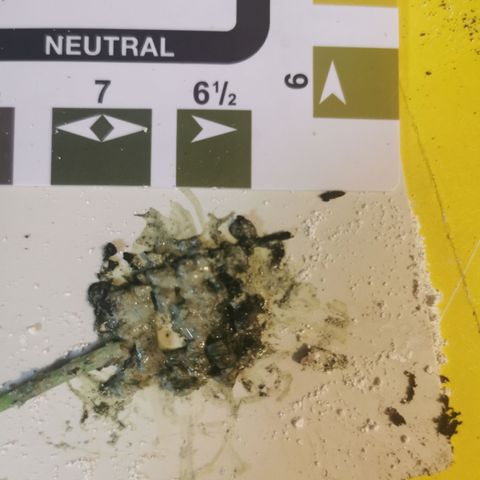 Godzilla Glue auto GG#4 growlog timeline photo