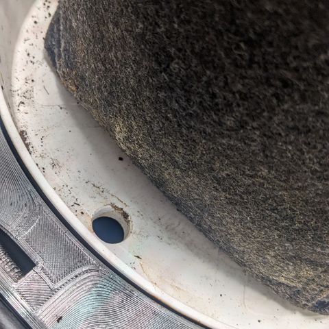 Tamsi growlog photo: Roots?