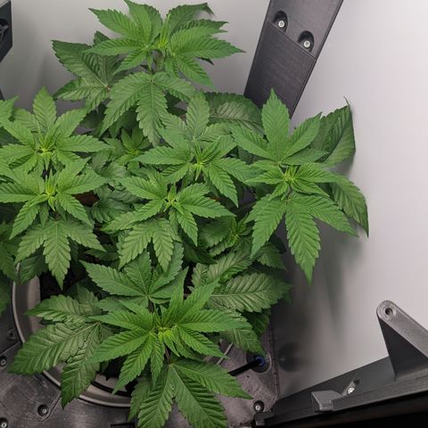 Reagan growlog timeline photo