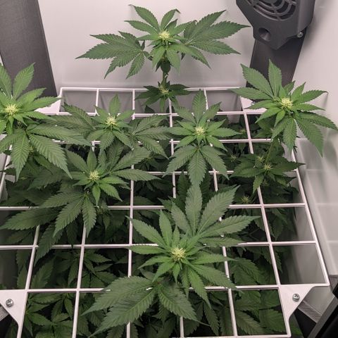 Reagan growlog timeline photo