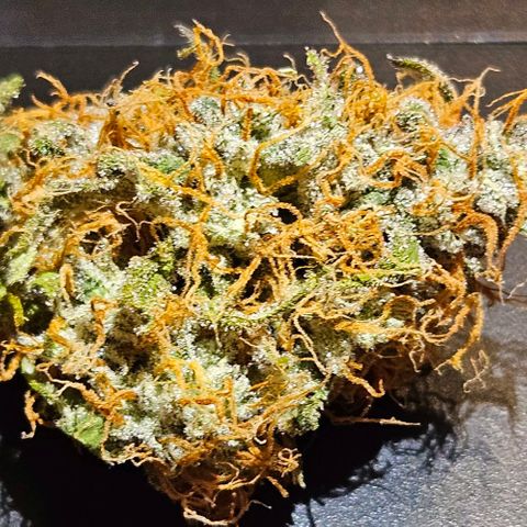 Triple G Automatic growlog timeline photo