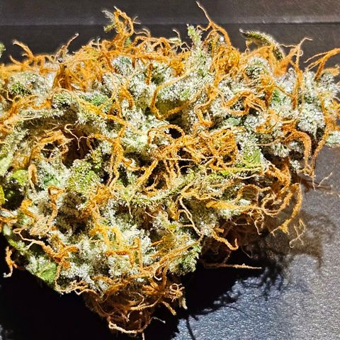 Triple G Automatic growlog timeline photo