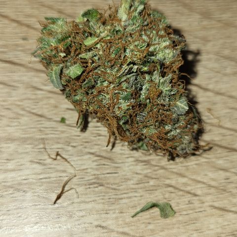 Hulk #1 growlog timeline photo