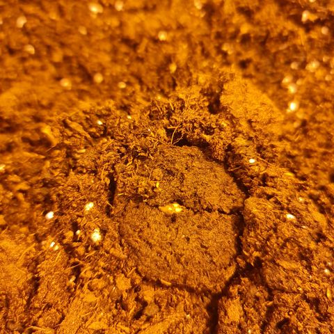 Barbara growlog timeline photo