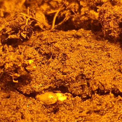 Barbara growlog timeline photo