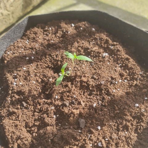 Barbara growlog timeline photo