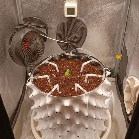 Неизвестный генетический growlog timeline photo