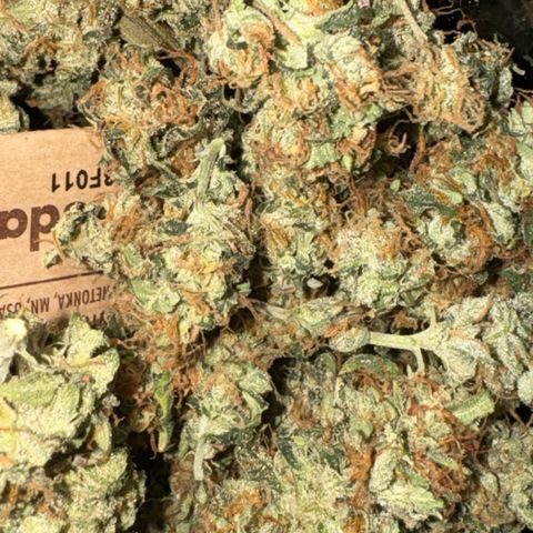 Tangie 1# growlog timeline photo