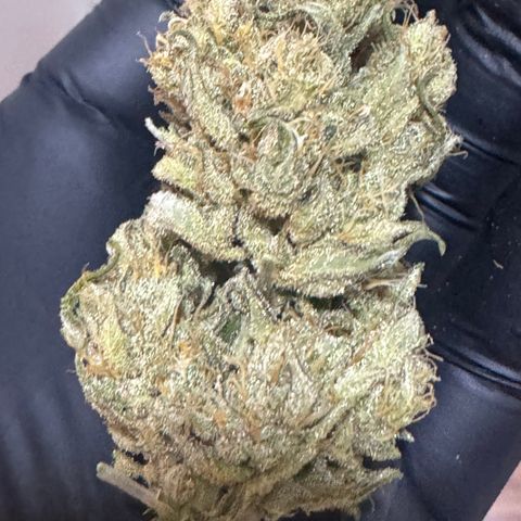 Red Strawberry Banana Auto (3x) growlog timeline photo