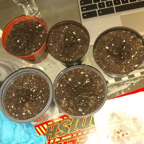 😷 full send growlog timeline photo