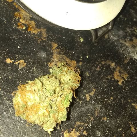 Black smack growlog photo: Lower buds smoking on👍🏾