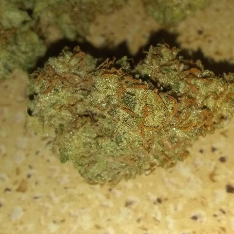 Black smack growlog photo: Smokes good buds tight but not my fav  smells wonderfull