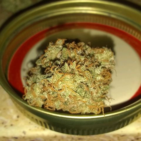 Black smack growlog photo: Smokes good buds tight but not my fav  smells wonderfull