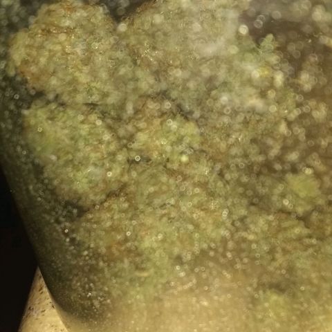 Black smack growlog photo: Smokes good buds tight but not my fav  smells wonderfull