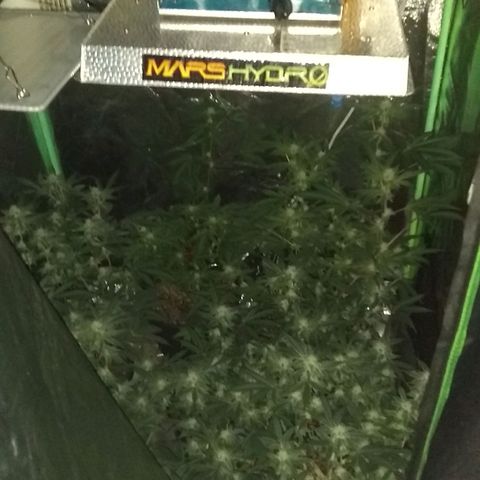 😷 full send growlog timeline photo
