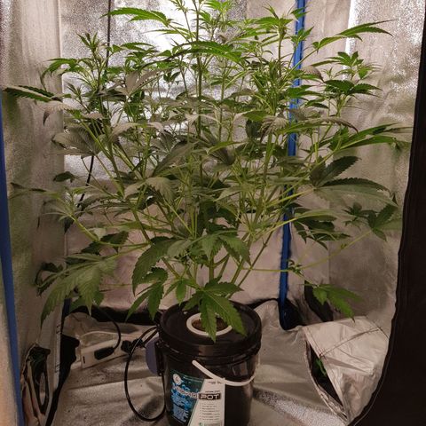 Pinki Flash Back 47 I growlog photo: Foto de cuanta agua está tomando en 1 día y medio sin ser supervisada 🤤🥰