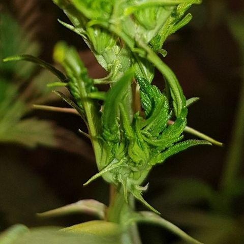 Pinki Flash Back 47 I growlog photo: Foto de cuanta agua está tomando en 1 día y medio sin ser supervisada 🤤🥰