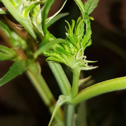 Pinki Flash Back 47 I growlog photo: Foto de cuanta agua está tomando en 1 día y medio sin ser supervisada 🤤🥰