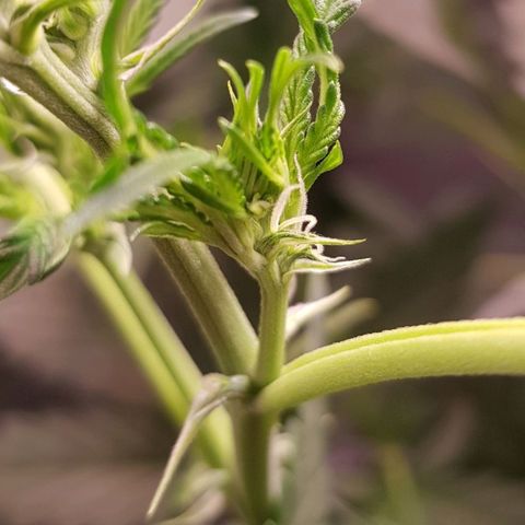 Pinki Flash Back 47 I growlog photo: Foto de cuanta agua está tomando en 1 día y medio sin ser supervisada 🤤🥰