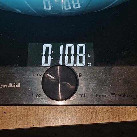 Golden Lemon Haze growlog timeline photo