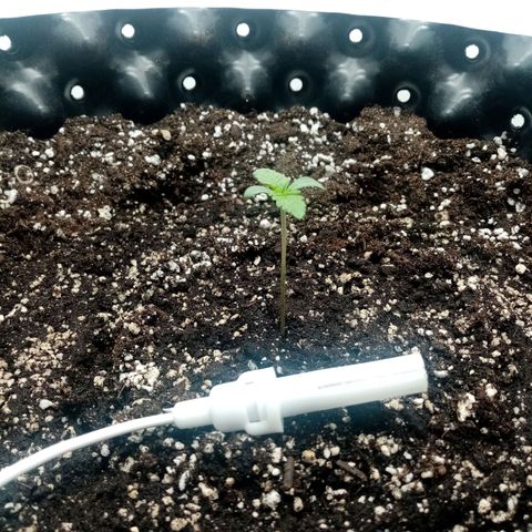 Criminal growlog timeline photo
