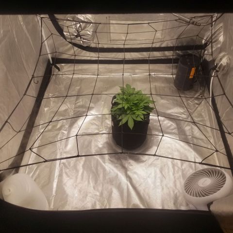 Jealousy  #1 growlog timeline photo
