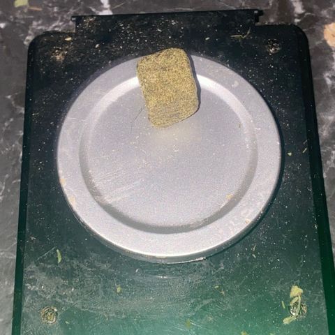 Skunk Hero RbX1 growlog timeline photo