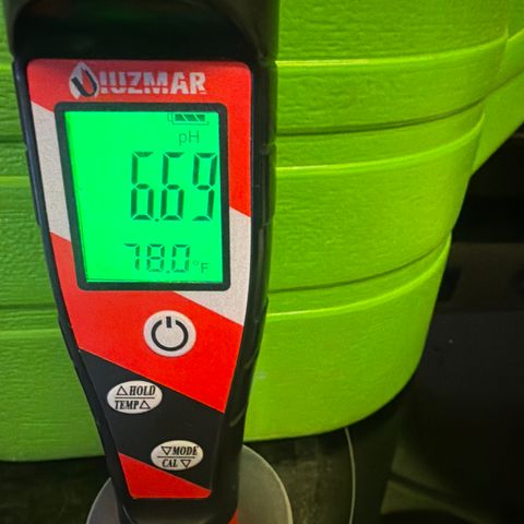 Sundea Driver  #1 growlog photo:  Today is the beginning of the seventh week of flower. I gave it 1 1/2 teaspoon of micro one three-quarter teaspoons of flour grow 1.25 teaspoons of flour bloom 1 mL of Calimag 2 mL of cool bloom and 1 teaspoon of stash blend. PPM 1000. PH 6.69. And the temperature 77.9°F for the water temperature. Inside temp temperature 82°F. Growing in Fox farm soil ocean forest mixed with miracle grow potty mix.