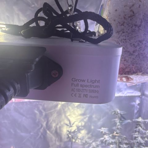 Sundea Driver  #1 growlog timeline photo