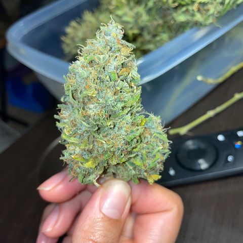 Wedding cake  growlog timeline photo