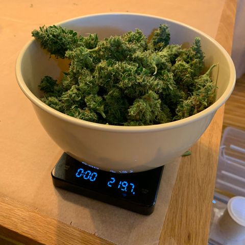 Egon growlog timeline photo