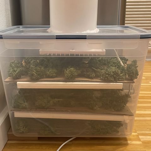 Egon growlog timeline photo