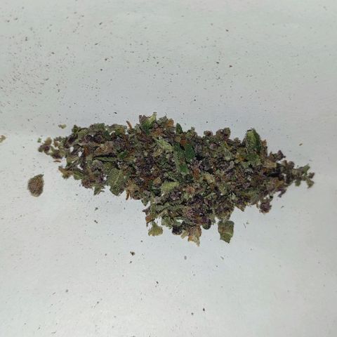 (A-OD) [05/21] {ZAM} - Do-Si-Dos growlog timeline photo