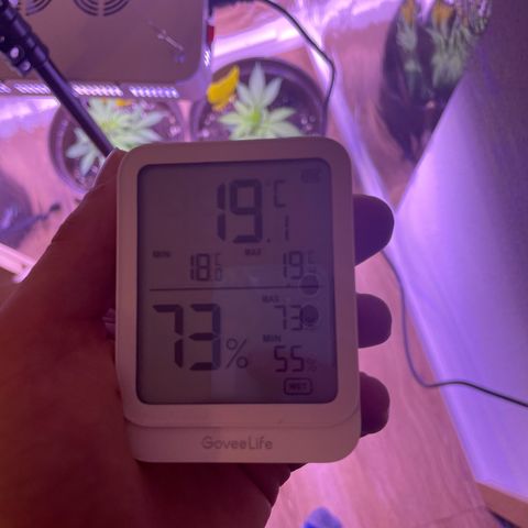 SAUL SILVER growlog timeline photo
