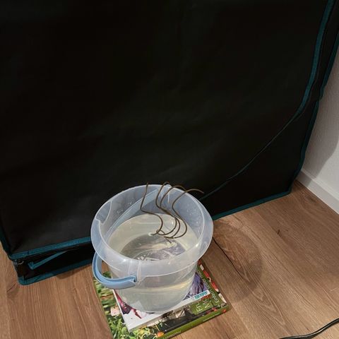 DALE DENTON growlog timeline photo