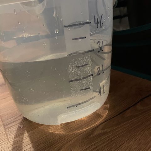 SAUL SILVER growlog timeline photo