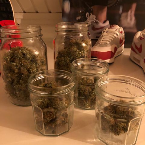 Pineapple Express Auto growlog timeline photo