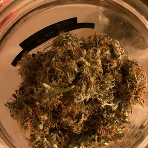 Pineapple Express Auto growlog timeline photo