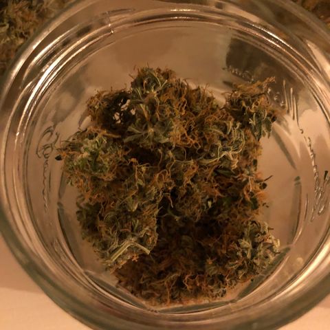 Pineapple Express Auto growlog timeline photo