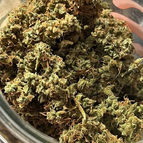 Automática Mysterious growlog timeline photo