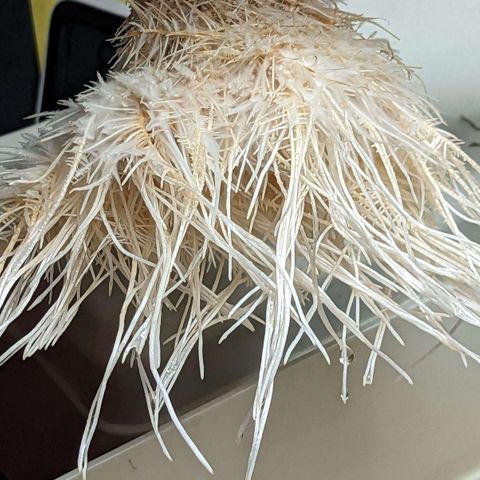 Wine Mom Ithacan Genetics  growlog timeline photo