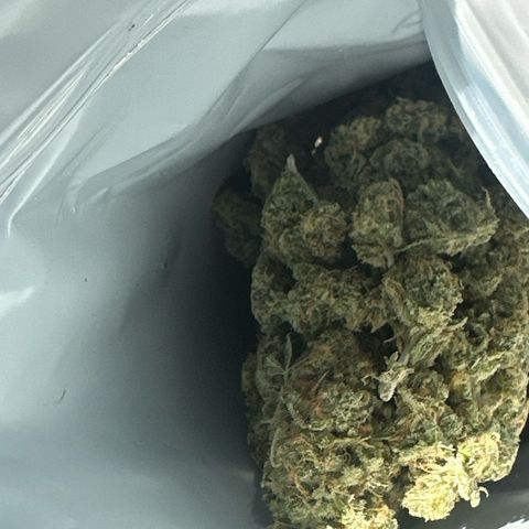 Blue dream growlog photo: Small nugs frosty and dense too