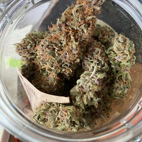 Purple Haze growlog timeline photo