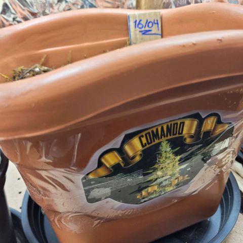 Comando Vermelho growlog photo: Envasada!