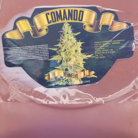 Comando Vermelho growlog timeline photo