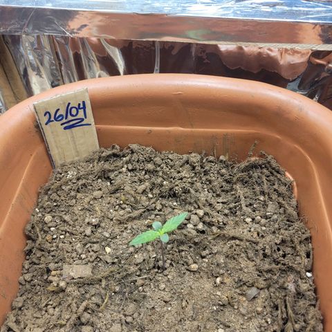 Tropa de Elite growlog timeline photo
