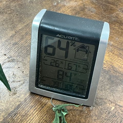 Sherbet Haze and Slurry3 growlog timeline photo