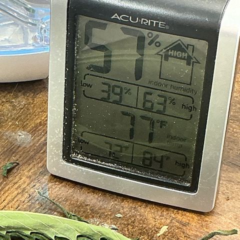 Sherbet Haze and Slurry3 growlog timeline photo